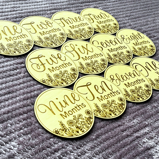 Monthly Milestone Sign Set