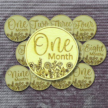 Monthly Milestone Sign Set